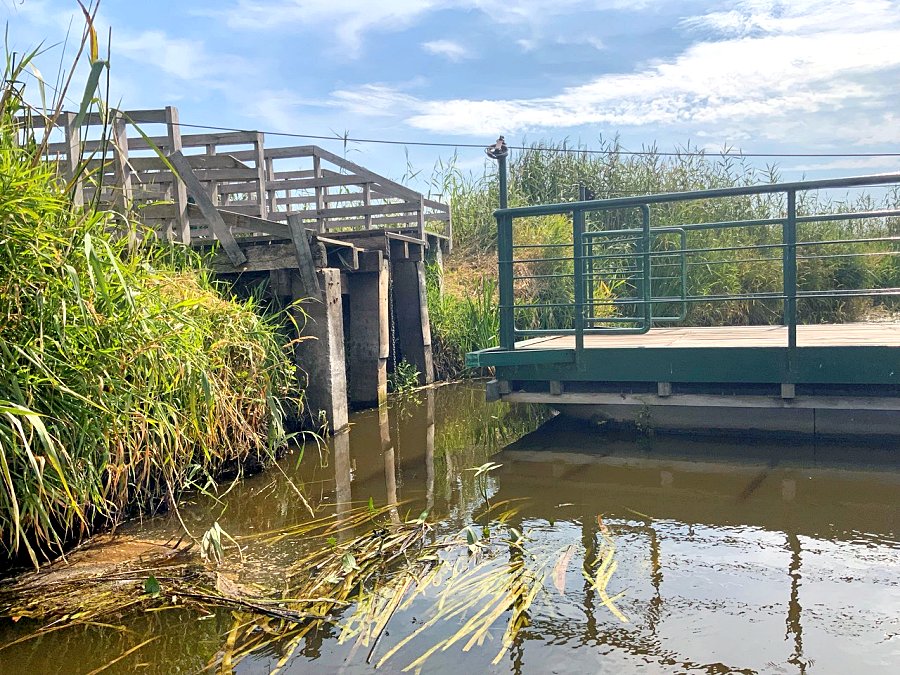 Niski poziom wody utrudnia przeprawę na kładce Waniewo - Śliwno: Apel Narwiańskiego Parku Narodowego