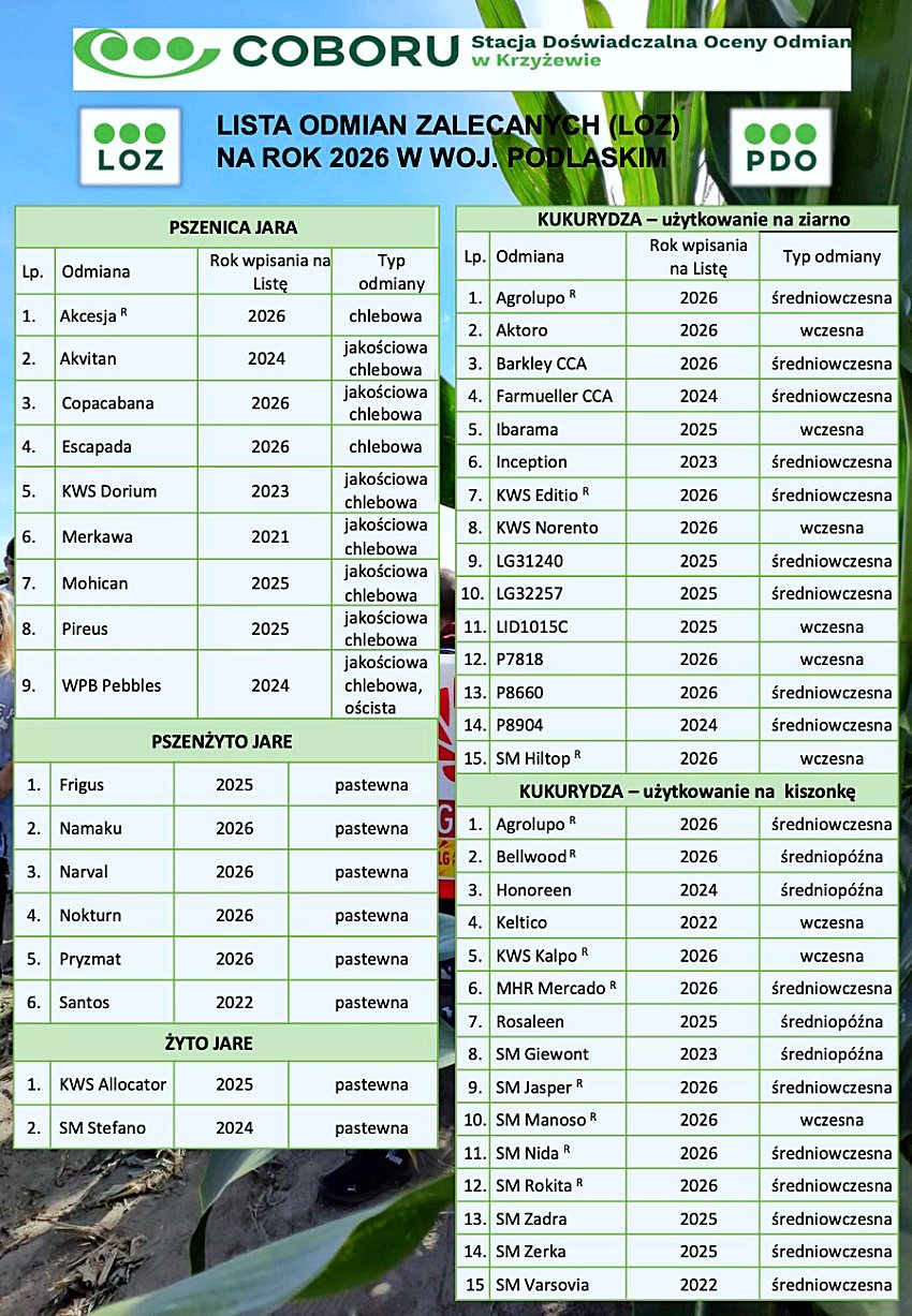 w141 20260128 161440