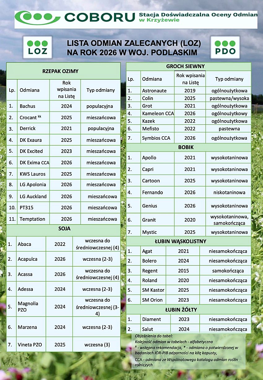 w142 20260128 161451