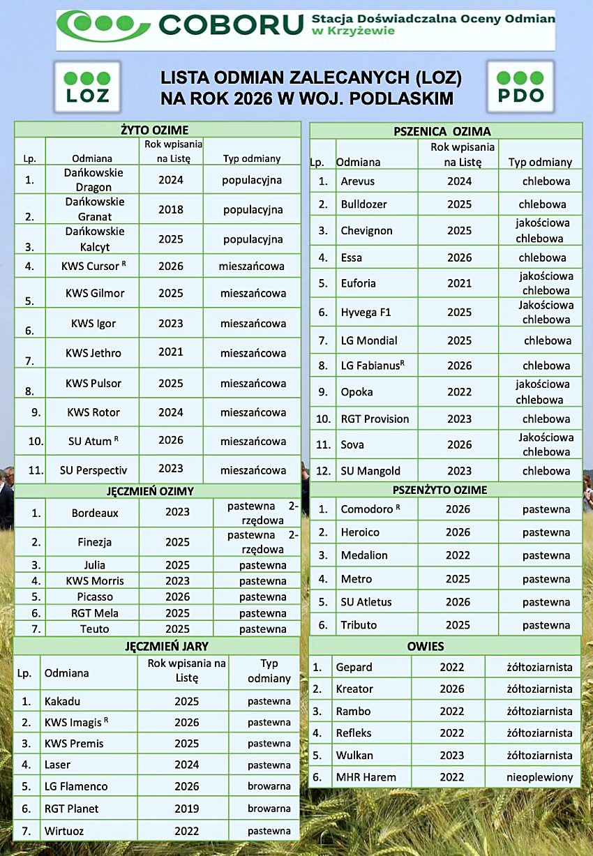 w143 20260128 161427