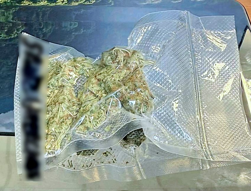 w142 20260217 100831