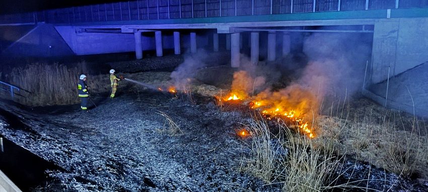 w142 20260324 182059