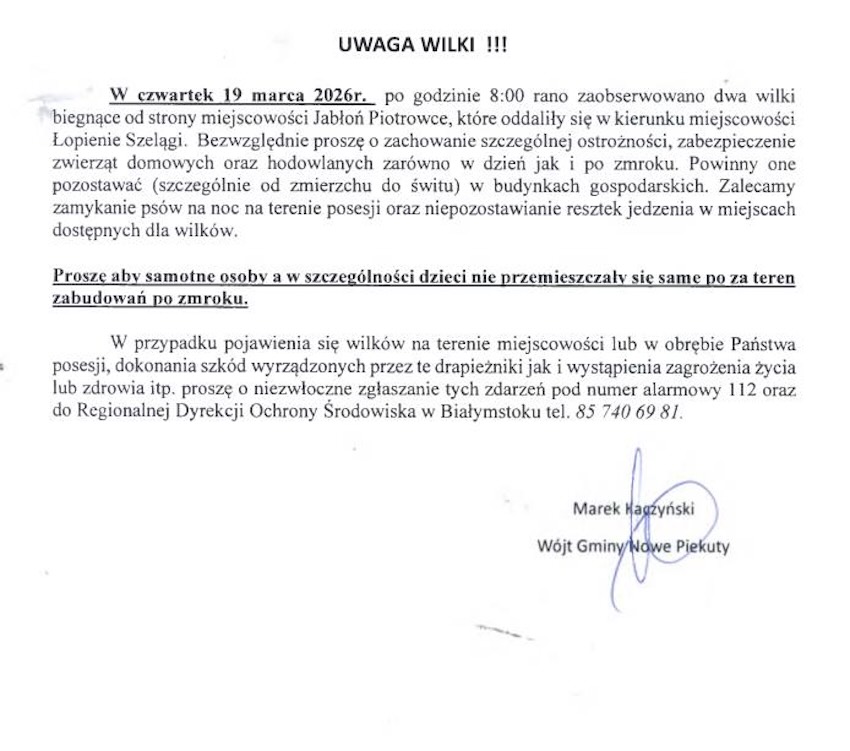 651238743 1365190812309910 2816767435914797637 n