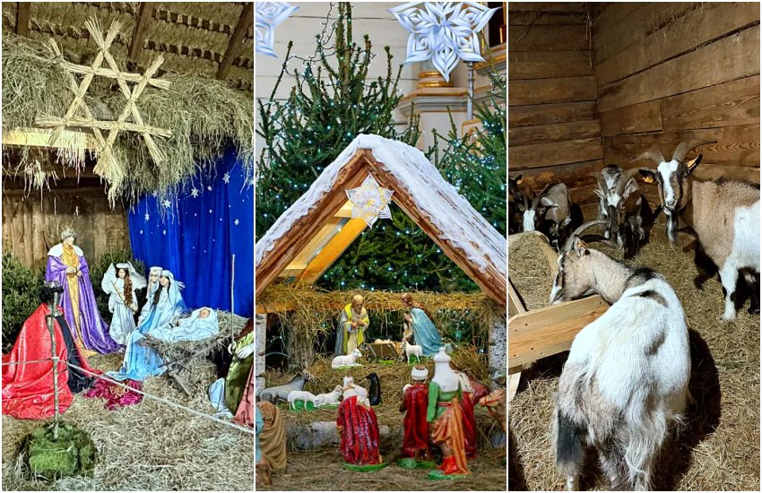 Żywa szopka w Ciechanowcu. Sprawdź godziny otwarcia