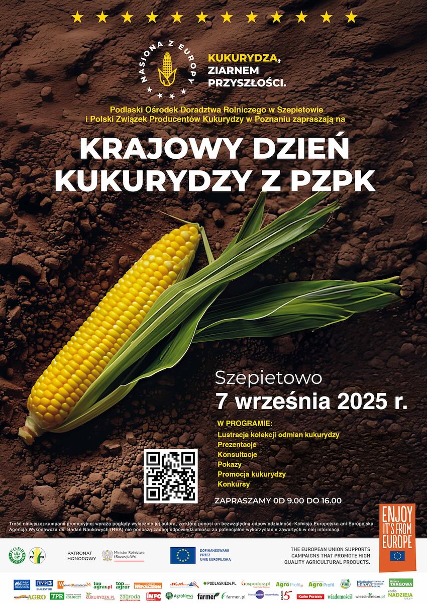 plakat kukurydza a4 www