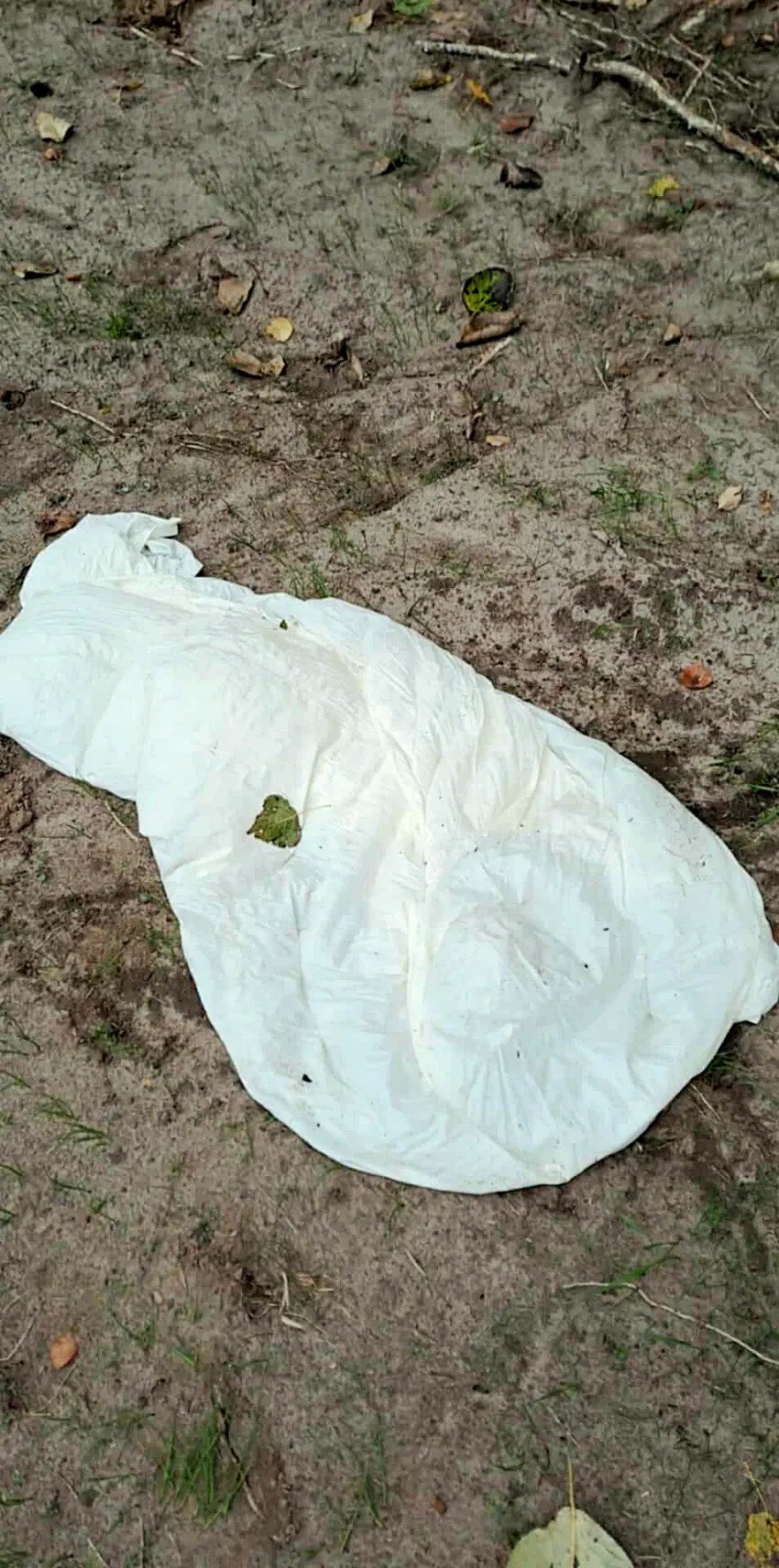 w14001 20250930 100713