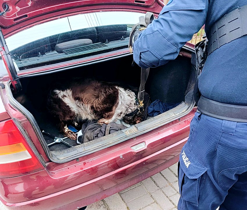 w3k002 20250402 095847