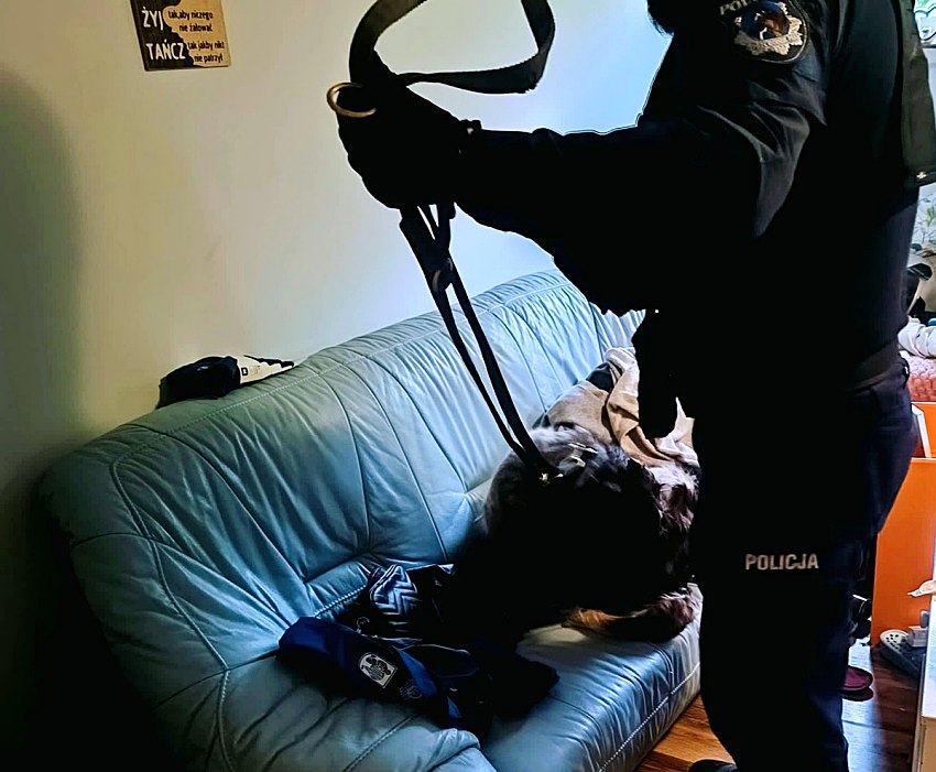 w3k003 20250402 095851