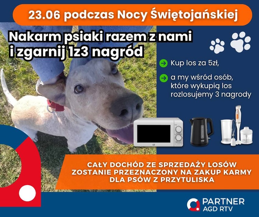 Pomóż psiakom z Ciechanowca - weź udział w zbiórce podczas 
