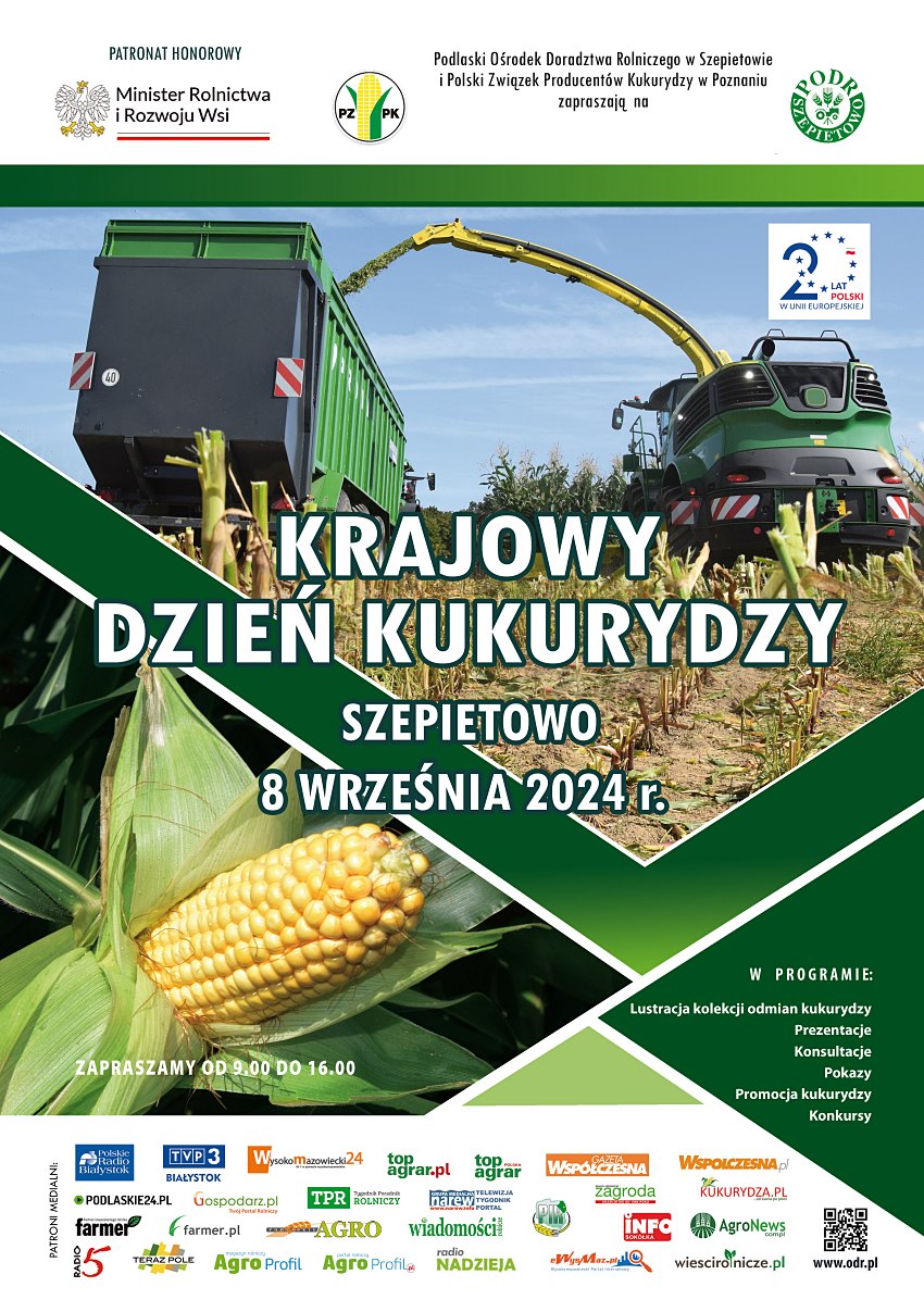 mm2 002 20240820 183628