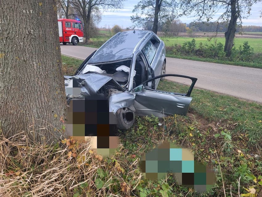 Szepietowo: Audi kierowane przez 19-latka wypadło z drogi i uderzyło w drzewo [foto]
