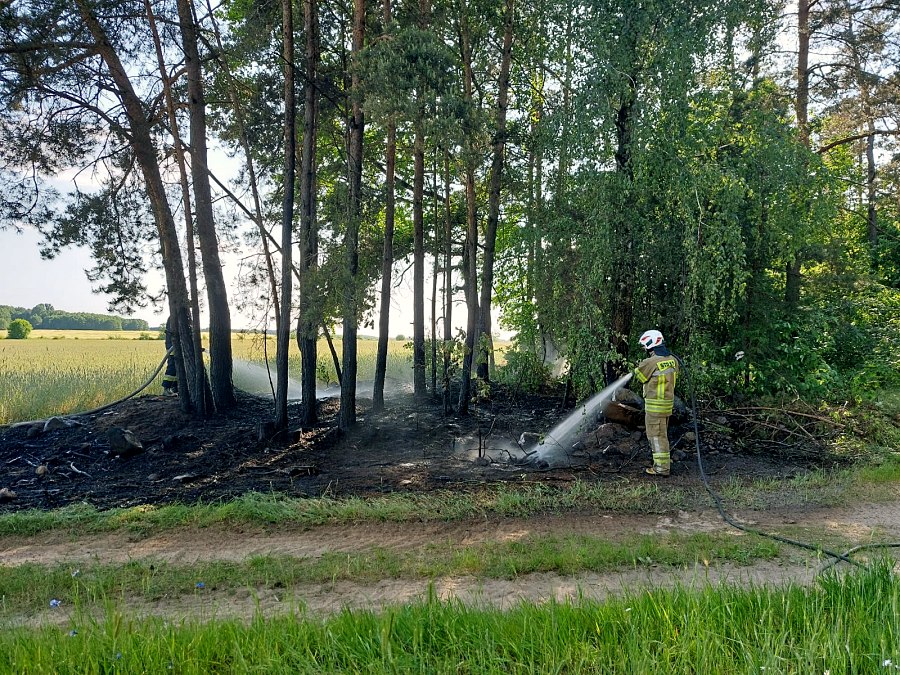 24002 20230605 201959