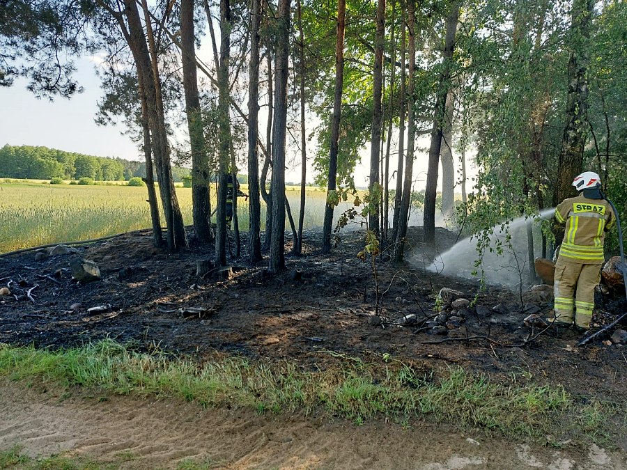 24007 20230605 202005