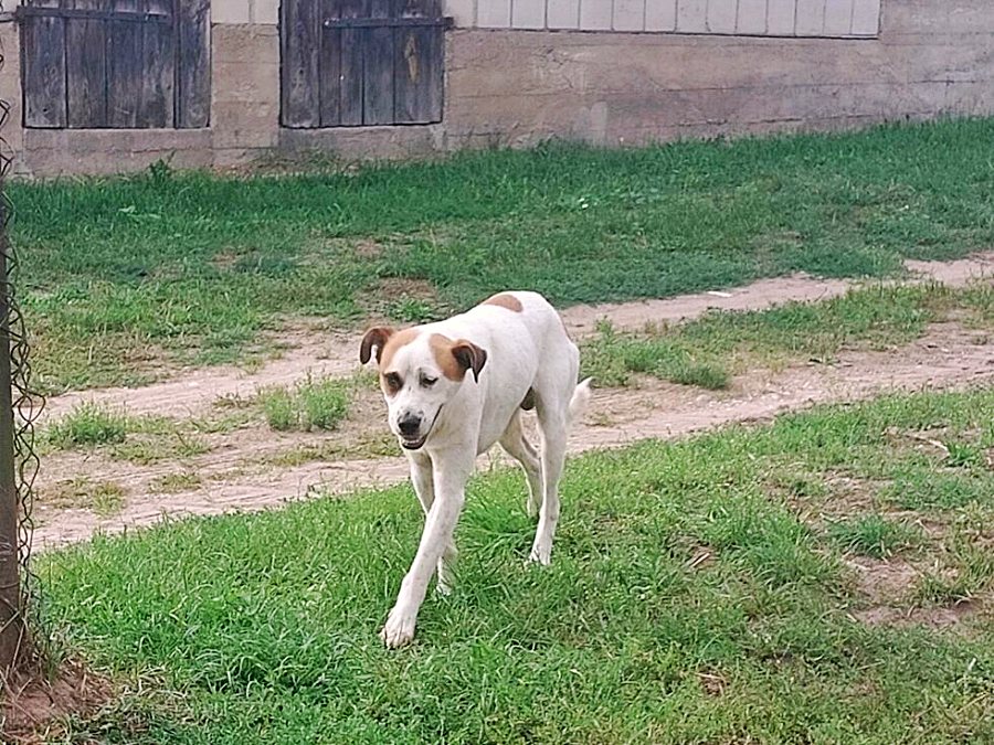 w24001 20230823 130737