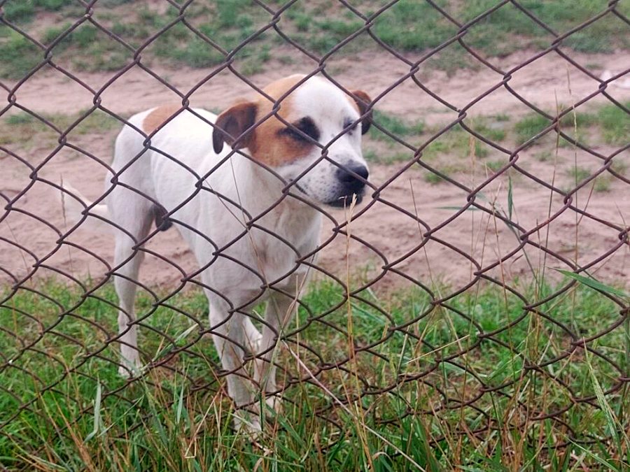 w24002 20230823 130743