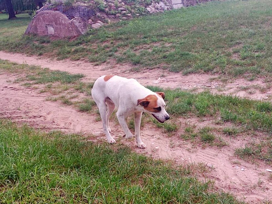 w24003 20230823 130746