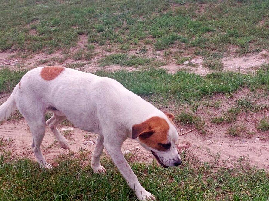 w24004 20230823 130749