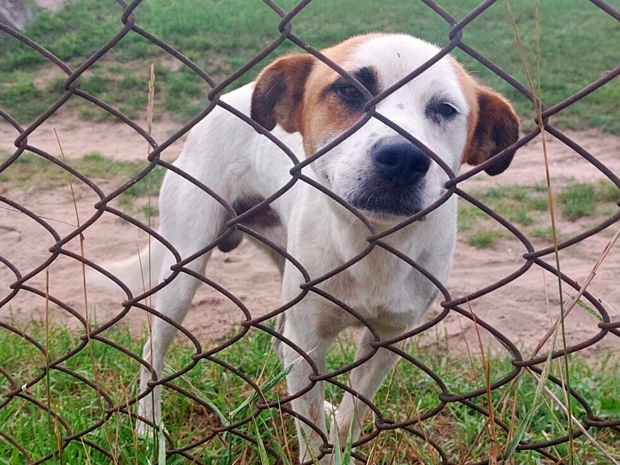 w24005 20230823 130752