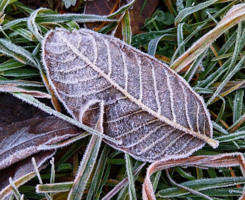 Ostrzeżenie przed przymrozkami na terenie powiatu wysokomazowieckiego