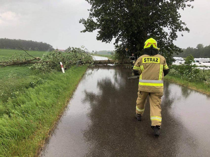 Alerty IMGW. Silny wiatr w powiecie wysokomazowieckim. Ostrzeżenie pierwszego stopnia
