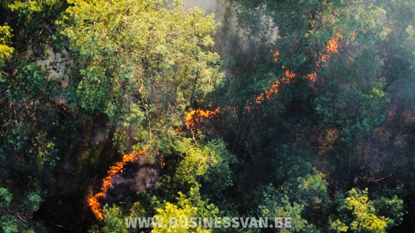 w24 001 20220325 114859w