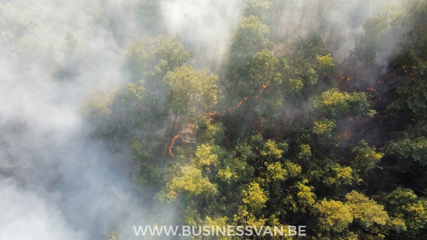 w24 002 20220325 114854w