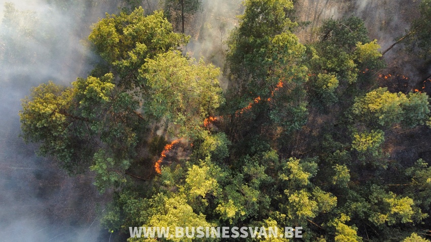 w24 004 20220325 114904w