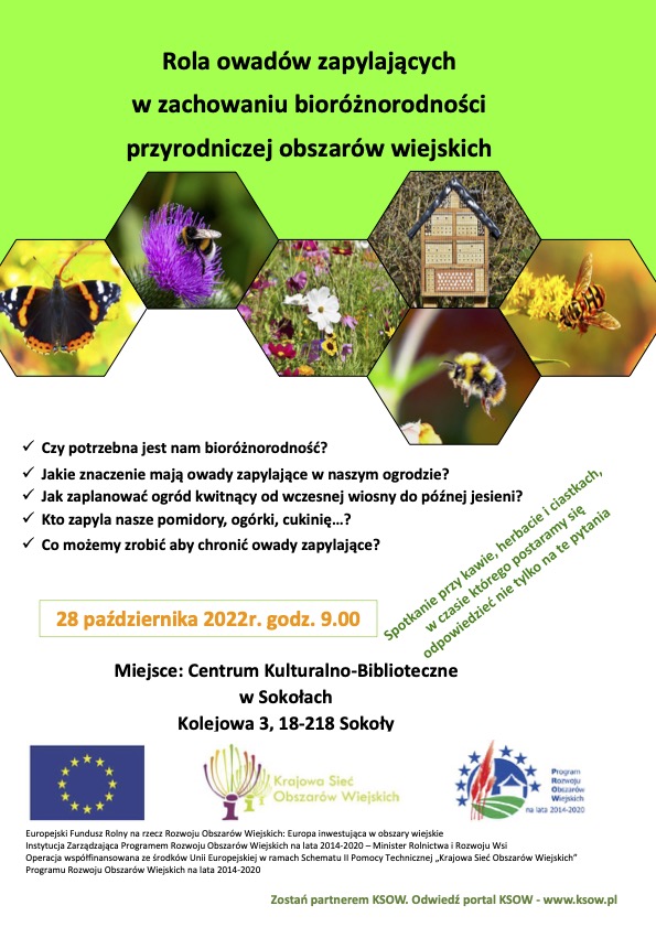 Plakat zaproszenie Sokoły 28 10 2022r