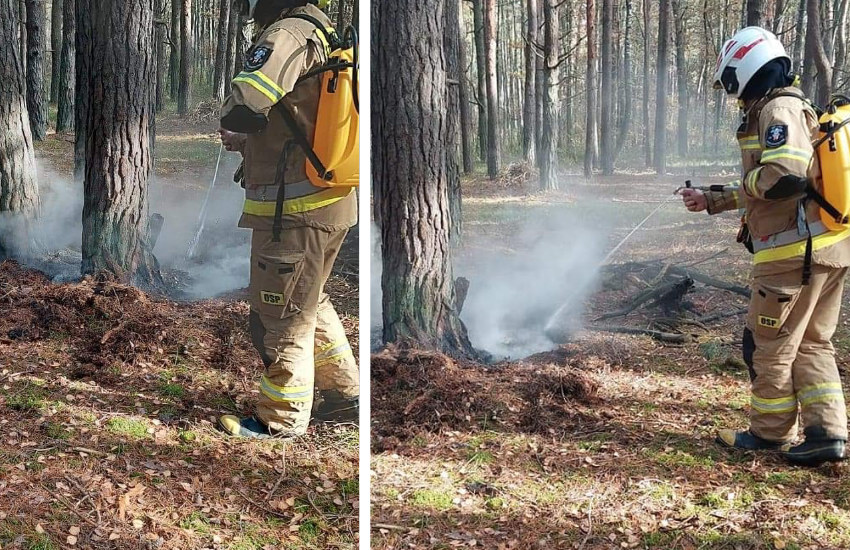 Pożar lasu w gminie Kobylin-Borzymy [foto]