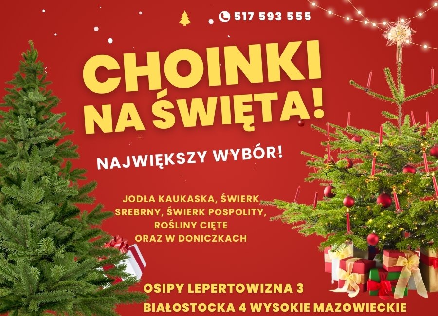 Wysokie Mazowieckie: Choinki na każdą kieszeń – sprzedaż w Wysokiem Mazowieckiem i Osipach Lepertowizna