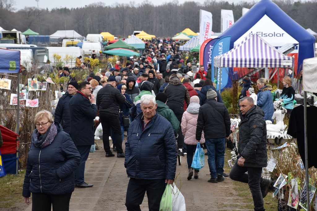 Szepietowo. Ponad 200 stoisk i tłumy odwiedzających. Pierwszy dzień Wiosennych Targów [foto]