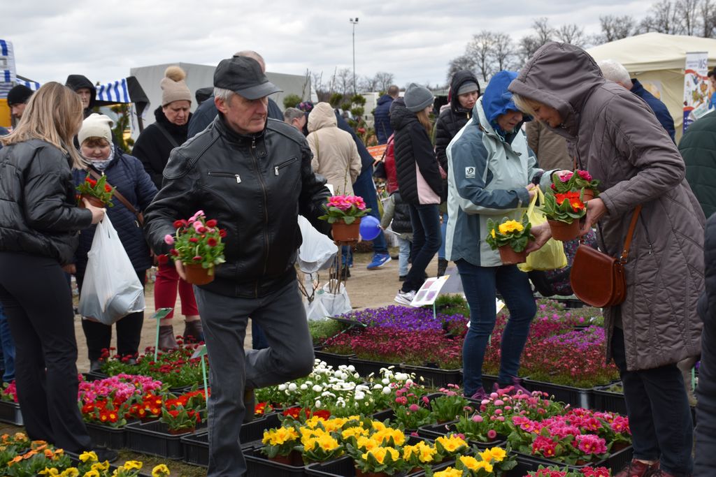 Szepietowo. Ponad 200 stoisk i tłumy odwiedzających. Pierwszy dzień Wiosennych Targów [foto]