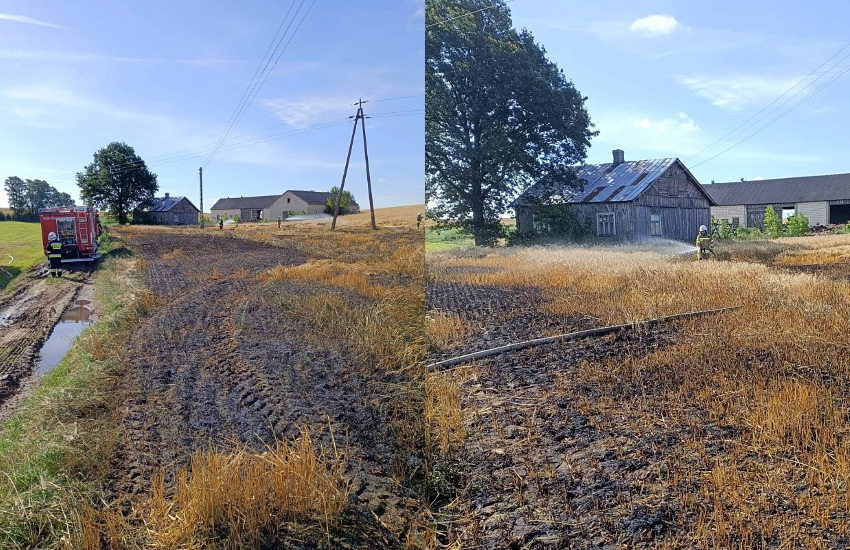 Pożar zboża w gminie Kobylin-Borzymy. Strażacy i rolnicy uratowali prawe 8 hektarów [foto]