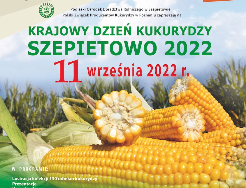 Podlaskie kukurydzą stoi. Krajowy Dzień Kukurydzy w Szepietowie - 11 września 2022 r.