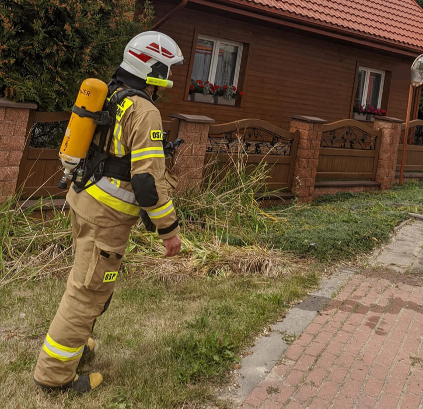 307384044 179452841277360 7855981259626856987 n