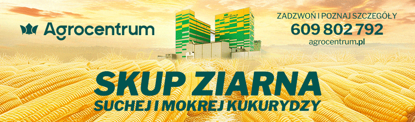 Agrocentrum - skup ziarna suchej i mokrej kukurydzy