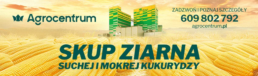 Agrocentrum - skup ziarna suchej i mokrej kukurydzy