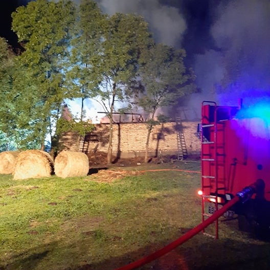 68541441 733674057063731 5410667742141349888 n