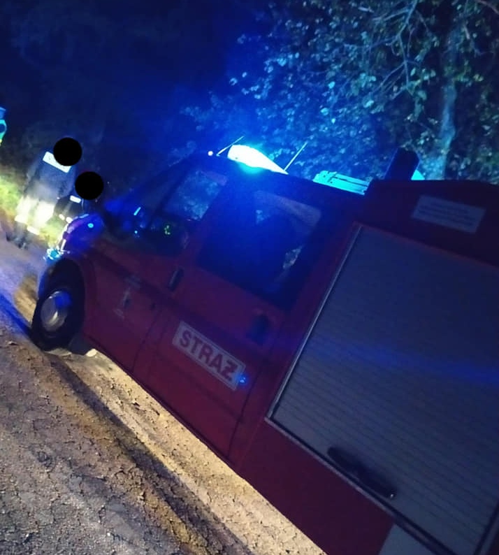 71875642 2501840853247939 3497687813854330880 n