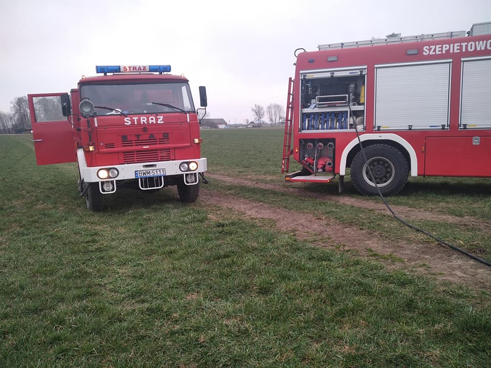 169657742 287182452865594 791266146137043614 n