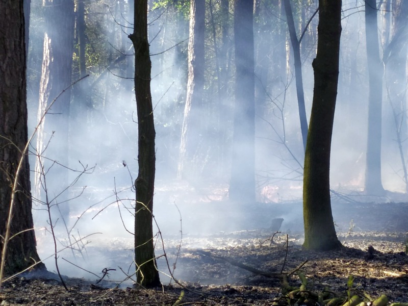 179034205 514476529925972 183582546975354400 n