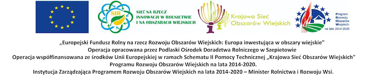 logo dzien pola 2021 eu