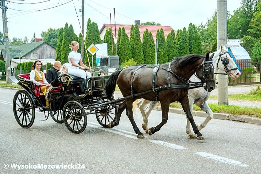 Ciechanowiec: para koni z powozem podczas zawodów w powożeniu zaprzęgami konnymi