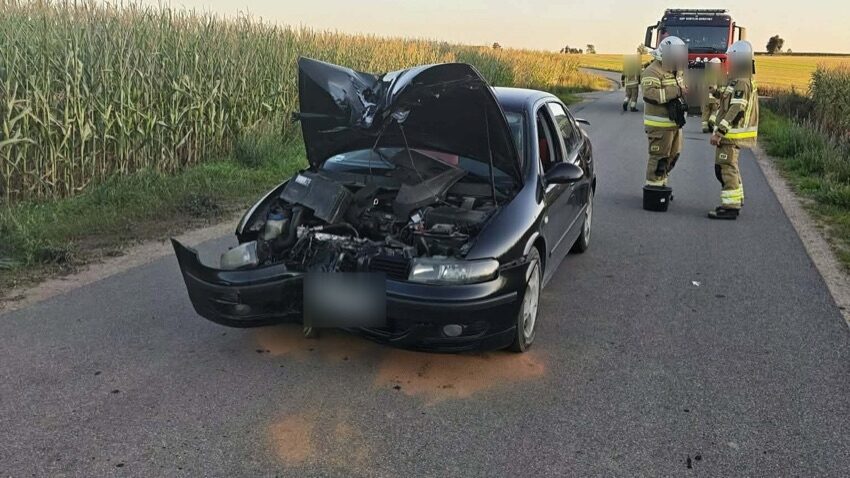 Kobylin-Kuleszki: rozbity przód samochodu osobowego na drodze, w tle wóz strażacki i strażacy