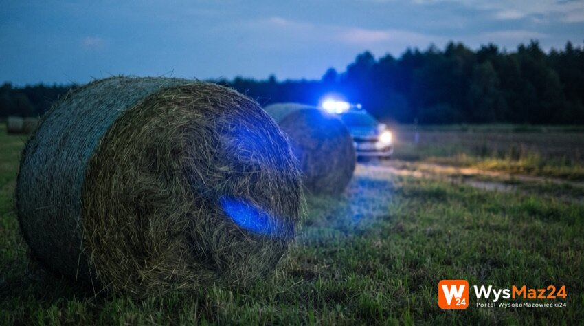 Bele siana na łące, w tle radiowóz z włączonymi sygnałami - grafika ilustracyjna