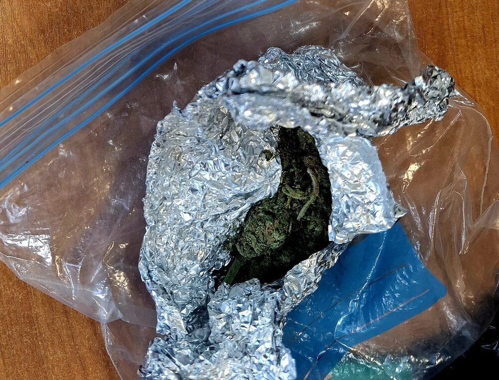 Marihuana zabezpieczona przez policję w Ciechanowcu
