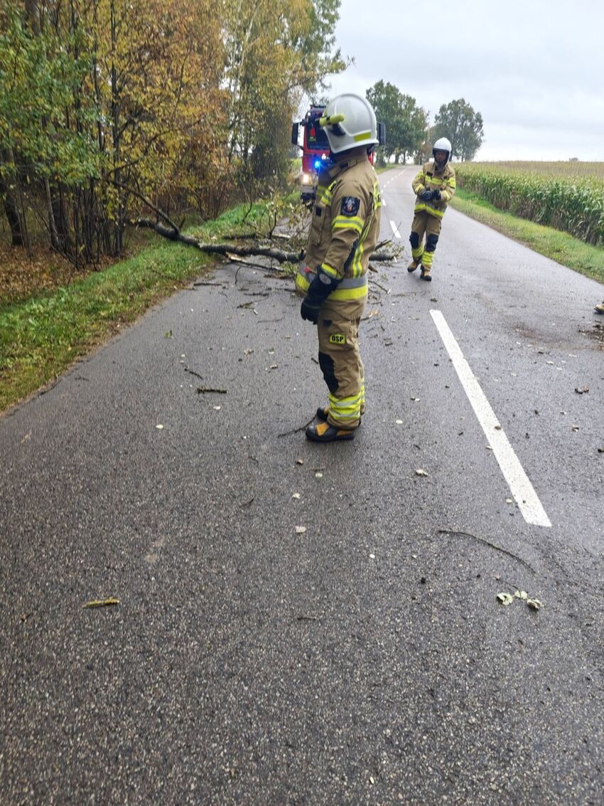 Strażacy przy powalonym drzewie na drodze powiatowej w gminie Kobylin-Borzymy