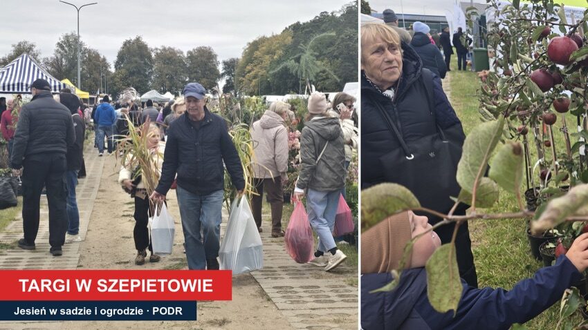 Odwiedzający z sadzonkami na targach ogrodniczych w PODR Szepietowo