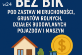 Pożyczka bez BIK pod zabezpieczenie