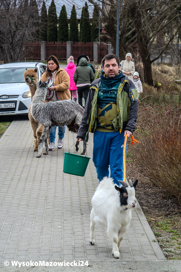 obraz-11